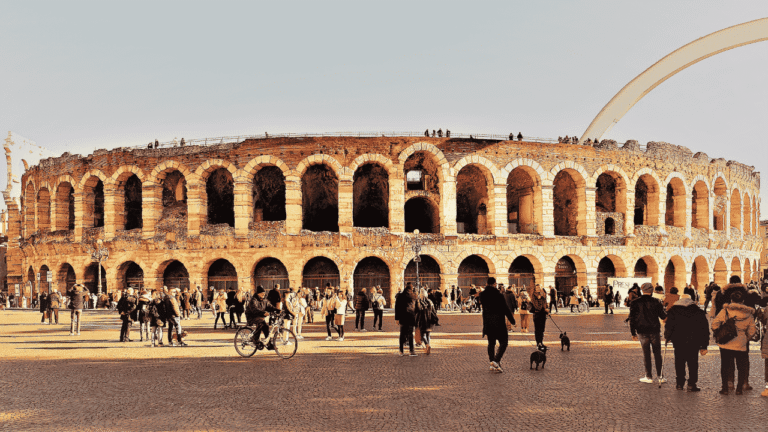 animation courses comparison